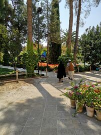 Shiraz2-20191022 103645.jpg