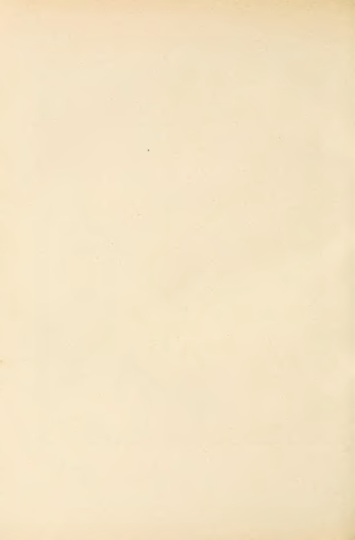 File:Carroll - Alice's Adventures in Wonderland.djvu