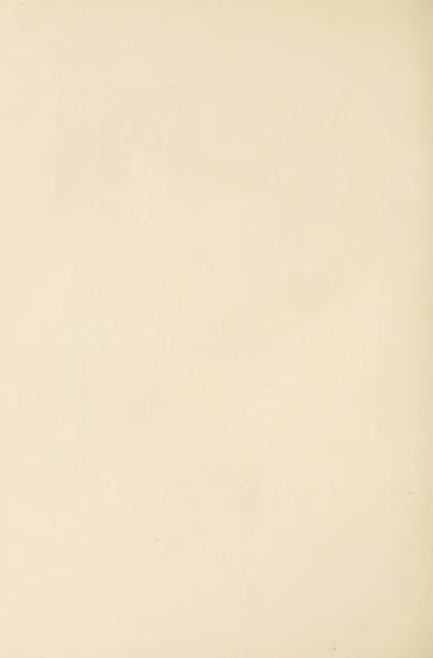 File:Carroll - Alice's Adventures in Wonderland.djvu