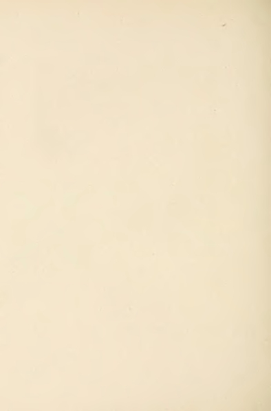 File:Carroll - Alice's Adventures in Wonderland.djvu