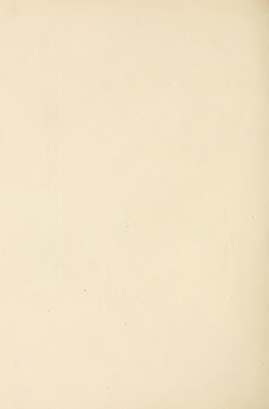 File:Carroll - Alice's Adventures in Wonderland.djvu