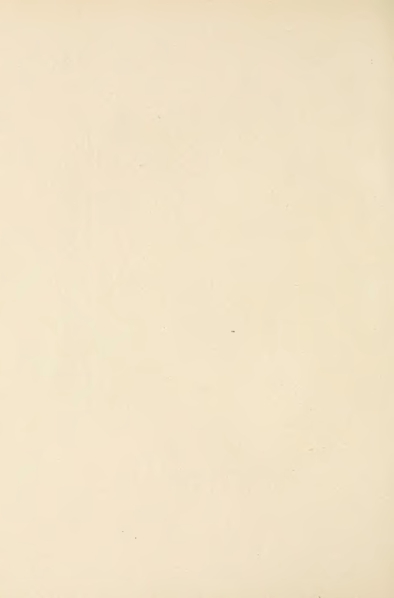 File:Carroll - Alice's Adventures in Wonderland.djvu