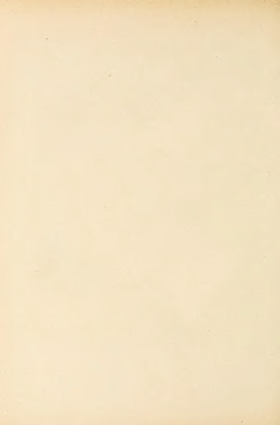 File:Carroll - Alice's Adventures in Wonderland.djvu