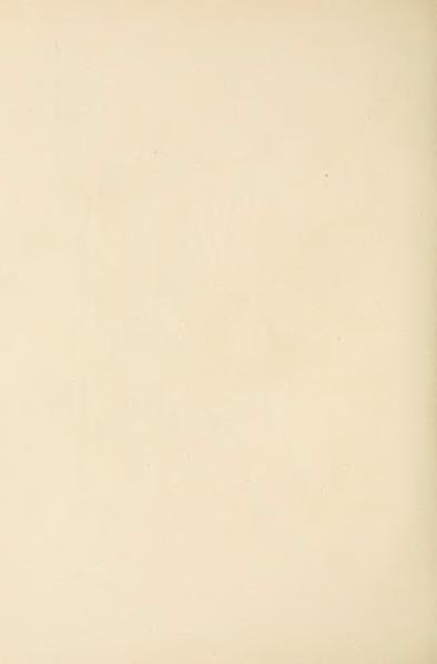 File:Carroll - Alice's Adventures in Wonderland.djvu