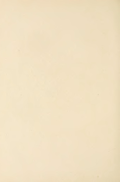 File:Carroll - Alice's Adventures in Wonderland.djvu