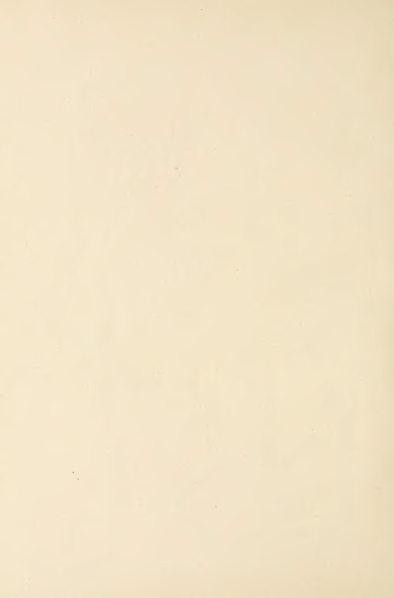 File:Carroll - Alice's Adventures in Wonderland.djvu