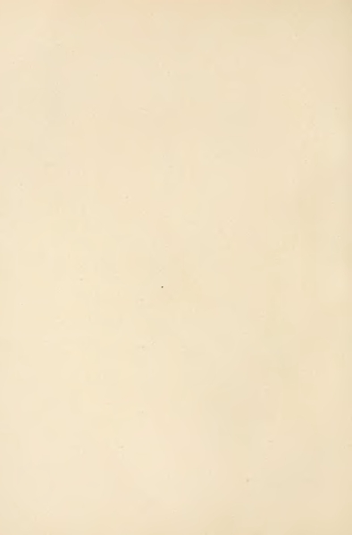 File:Carroll - Alice's Adventures in Wonderland.djvu