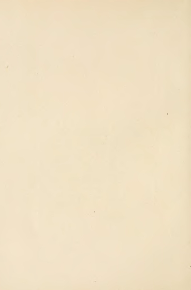 File:Carroll - Alice's Adventures in Wonderland.djvu