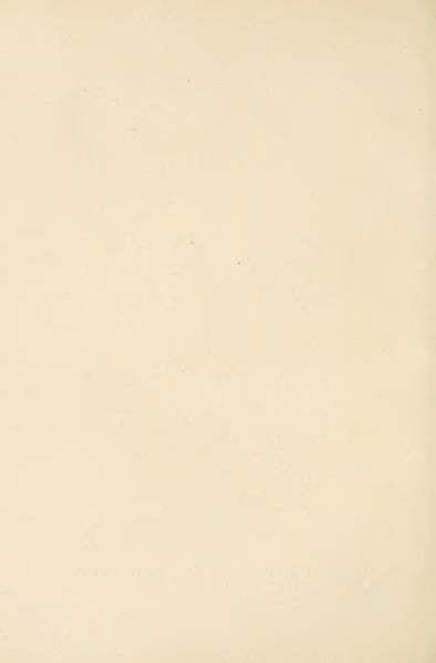 File:Carroll - Alice's Adventures in Wonderland.djvu