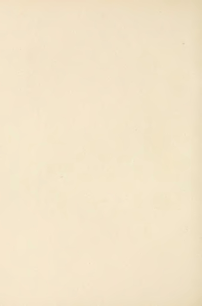 File:Carroll - Alice's Adventures in Wonderland.djvu