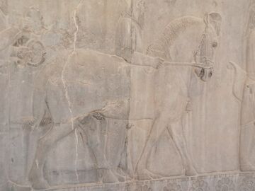 Persepolis2-20191021 152126.jpg