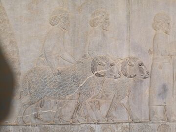 Persepolis2-20191021 151138.jpg